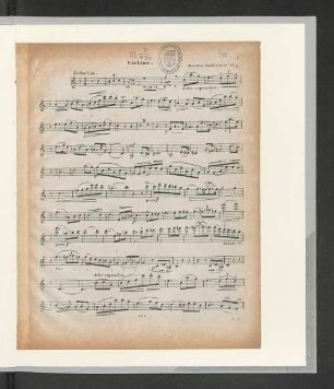 Violino.