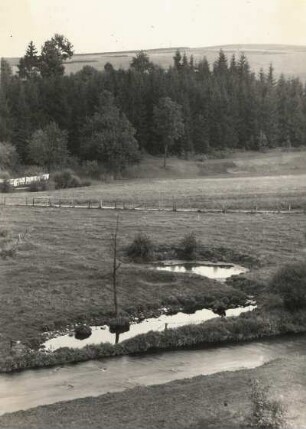 Triebtal bei Altensalz. Salzwassertümpel ("Salzbrunnen"= künstl. Aufschluß der Saline im 17. Jh. u.- Standort des ehem. Hauptschachtes mit den Pumpen) mit Abflußgraben zur Trieb