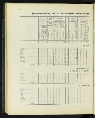 Zusammenstellung der im Kalenderjahr 1896 vorgekommenen Brände mit Angabe ihrer Entstehungsursachen.