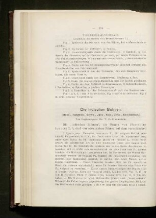 Die indischen Bohnen.