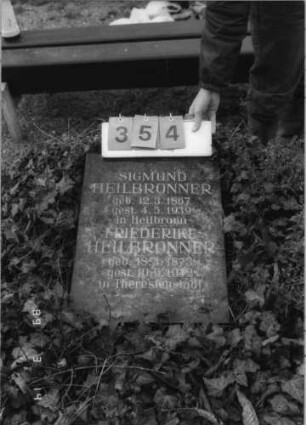 Grabstein 354 (Index: 100093562) Zustand: liegend Maße HxBxT: 20x42x56 cm Besonderheit: kulturhistorisch wertvoll / hist.-wiss. Gründe (Schoah-Opfer); - Doppelgrab (für Eheleute?): Grabstein 354