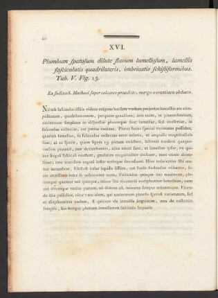 XVI. Plumbum spatosum dilute flavum lamellosum, lamellis fasciculatis quadrilateris, ...Tab. V. Fig. 13