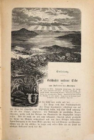 Der vorgeschichtliche Mensch : Ursprung und Entwicklung des Menschengeschlechtes ; für Gebildete aller Stände