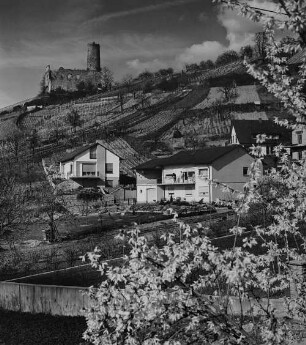Archivfotografie "bergstrasse_schriesheim_on01"