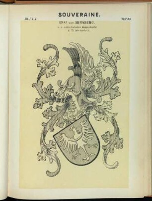 Taf. 115. Graf v. Arnsberg. n. e. niederdeutschen Wappenbuche d. 15. Jahrhunderts.