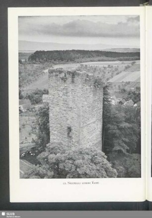 Neipperg, unterer Turm