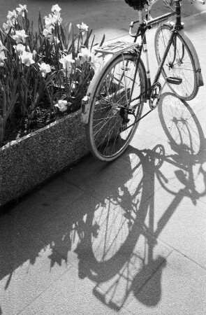 Fahrrad im Frühling.
