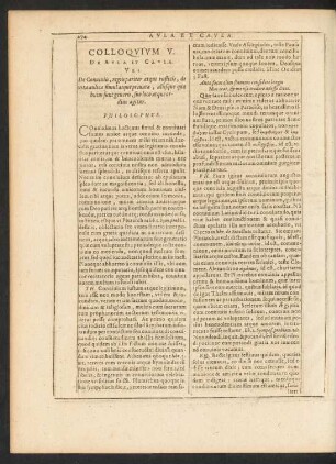 Colloquium V. De Aula Et Caula.