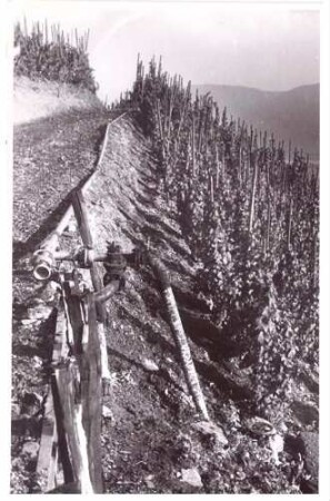 Foto Anlage zur Bewässerung
