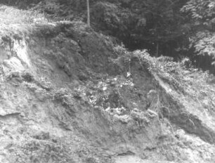 Tal der Kipper bei Türchau nach dem Hochwasser von August/September 1938. Abgetragener Hangabschnitt durch Ausspülung : Türchau (Turoszów (Polen)). Tal der Kipper bei Türchau nach dem Hochwasser von August/September 1938. Abgetragener Hangabschnitt durch Ausspülung
