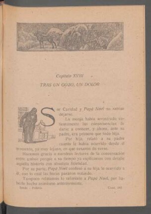Capítulo XVIII - Tras un gozo, un dolor