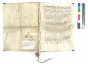 Vertrag zwischen Heinrich Sältzlin und Kloster Wiblingen wegen einer Wiesmahd bei Unterkirchberg