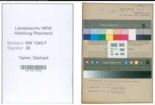 Entnazifizierung Gerhard Tamm , geb. 06.02.1896 (Finanzbeamter)