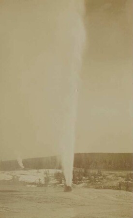 Yellowstone: Upper Geyser Basin - "The Beehive" : eruption about 3 times daily