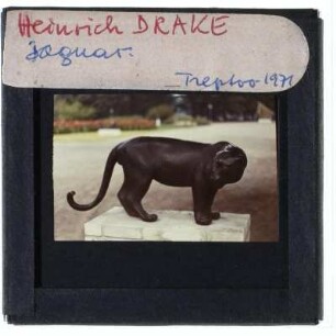 Drake, Jaguar