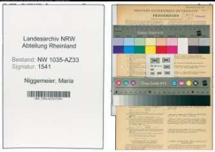 Entnazifizierung Maria Niggemeier , geb. 24.09.1919 (Kaufmaennische Angestellte)
