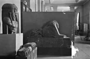 Mähnensphinx Amenehet' III.aus Tanis