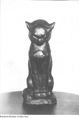 Katze
