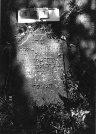 Grabstein 121 (Index: 99796460) Material: Sandstein Zustand: verwitt. mit Textverl. , Abschluß beschäd. Maße HxBxT: 0x0x0 cm Beschreibung: Stele, Konvexbogenabschluß, Schriftfeld eingetieft: Grabstein 121