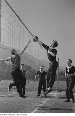 Zwei springende Volleyballspieler am Netz auf dem Spielfeld der Sportschule
