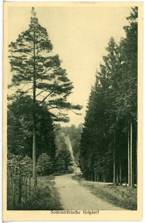 Hetzdorf. Waldweg