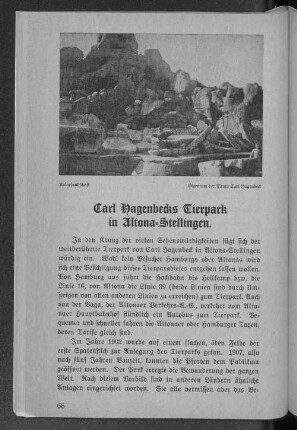 Carl Hagenbecks Tierpark in Altona-Stellingen.