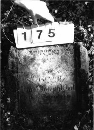 Grabstein 175 (Index: 99792298) Material: Sandstein Zustand: verwittert mit Textverlust, Stele liegend Maße HxBxT: 59x50x18 cm Beschreibung: Stele, Schriftfeld eingetieft: Grabstein 175