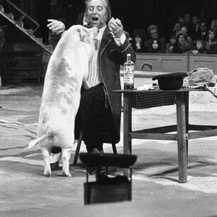 Gastspiel des Zirkus Sarrasani auf dem Messplatz in Karlsruhe
