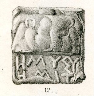 Zwölftelmine. Quadratisches Bleigewicht mit halber Schildkröte und griechischer Inschrift: ΗΜΥΣΥ / ΗΜΙΤ…