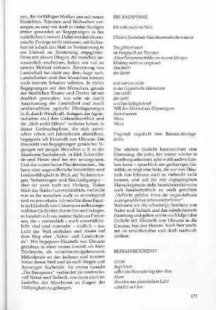 DIE BAUSPINNE