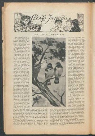 Las dos golondrinas : Cuento infantil