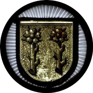 Wappen der Stadt Rapperswil