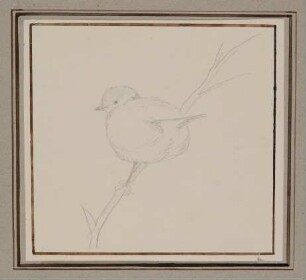 Vogel [aus der "geblümten Kassette"]
