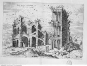 Discorsi sopra l'antichità di Roma., Tafel 23: Haec habet Colosseum, et Septizonium Severi.