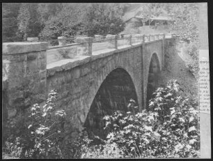 Santa Clara County, Cal. Long Bridge above Congress Springs