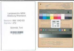 Entnazifizierung Toni Schmidt , geb. 16.02.1899 (Lehrerin)
