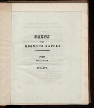 [1], [3], 1, Taf: Fauna Del Regno Di Napoli Ossia Enumerazione Di Tutti Gli Animali Che Abitano Le Diverse Regioni Di Questo Regno E Le Acque Che Le Bagnano. [1]. [Animali Vertebrati]. [3]. Pesci. Pt. 1