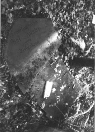 Grabstein 1122 (Index: 99899806) Material: Sandstein Zustand: durchgebrochen, Inschrift aus Rückseite gut erhalten Maße HxBxT: 185x68x12 cm Beschreibung: Stele mit Dreiecksabschluss, umgestürzt und durchgebrochen: Grabstein 1122