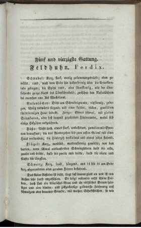 Fünf und vierzigste Gattung. Feldhuhn. Perdix.