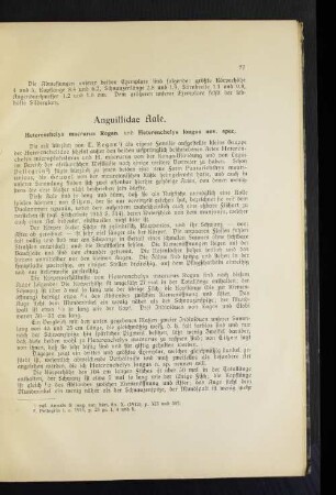 Anguillidae Aale.