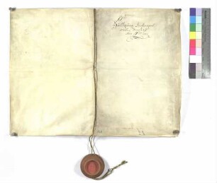 Notariatsinstrument über Besitzergreifung des Dorfs Dorndorf und Huldigung der Untertanen