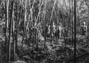 Hans Meyer im Bambuswald : Der Geograph Hans Meyer (zweiter von links) mit drei Begleitern in einem Bambuswald