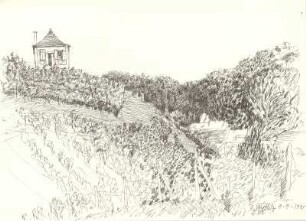 Weinberghaus Louise