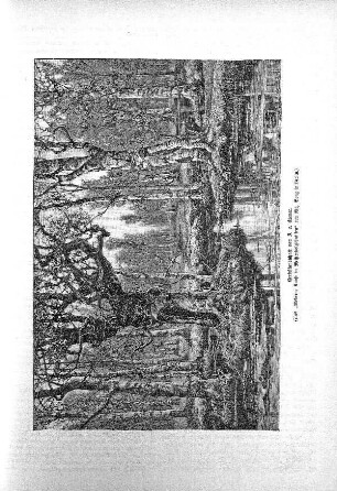 Herbstlandschaft von J. v. Klever