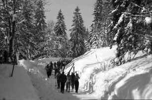 Feldberg: Skiläufer auf verschneitem Weg zum Feldberg