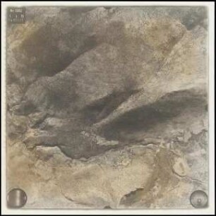 Aufnahme 053