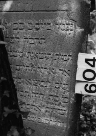 Grabstein 604 (Index: 99802872) Material: Sandstein Zustand: im Rundbogen verwittert/Textverlust Maße HxBxT: 150x55x12 cm Beschreibung: Sockel, Stele mit eingezogenem verdachten Rundbogen Besonderheit: längerer Text, Endreim: Grabstein 604 (Detailaufnahme 1)
