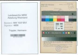 Entnazifizierung Hermann Trippler , geb. 12.04.1900 (Weichenwaerter)