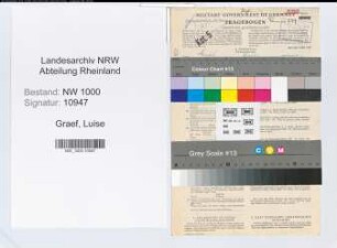 Entnazifizierung Luise Graef, geb. 18.12.1888 (Steuerberater)