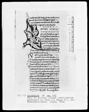 Kurzfassung des Decretum Gratiani — Initiale L(onga invalitudine gravatus), Folio 32recto